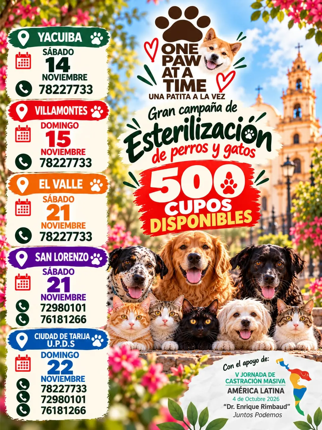 November one paw at a time event